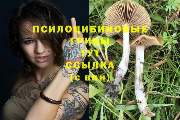 метамфетамин Касимов